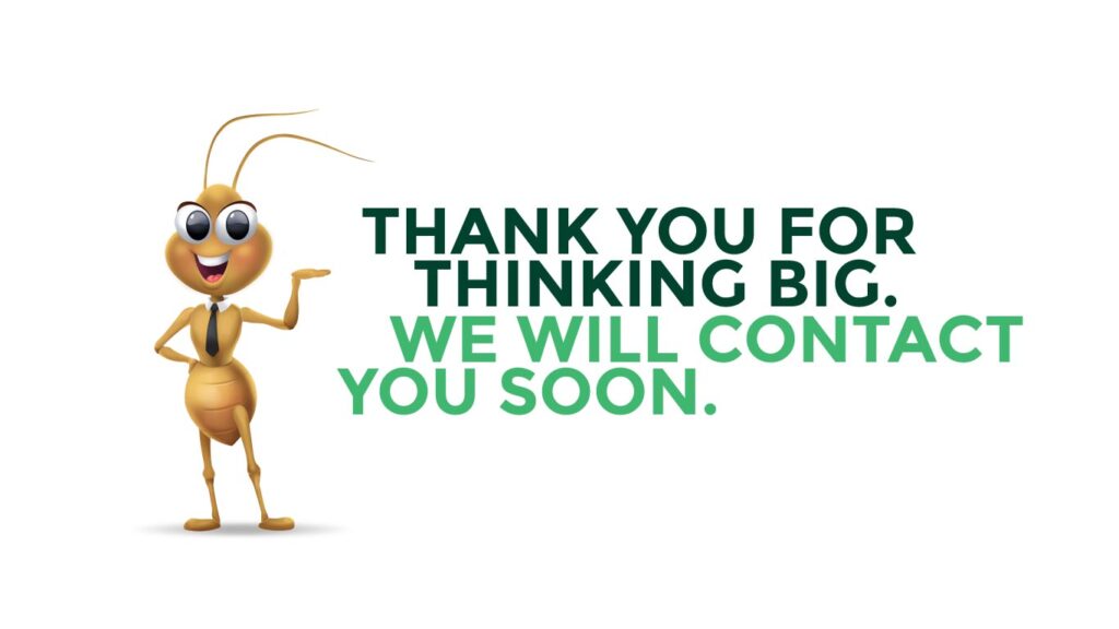 Mr.-Big-Thank-You